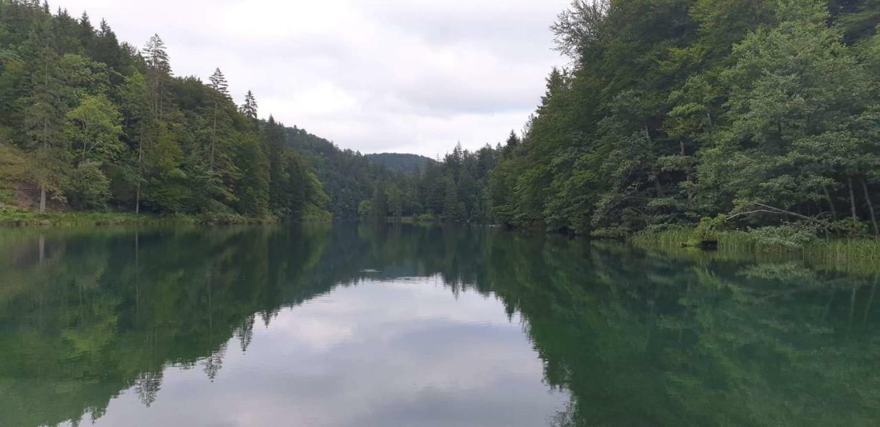 Vacation House Home, Plitvice Lakes National Park Plitvička Jezera エクステリア 写真